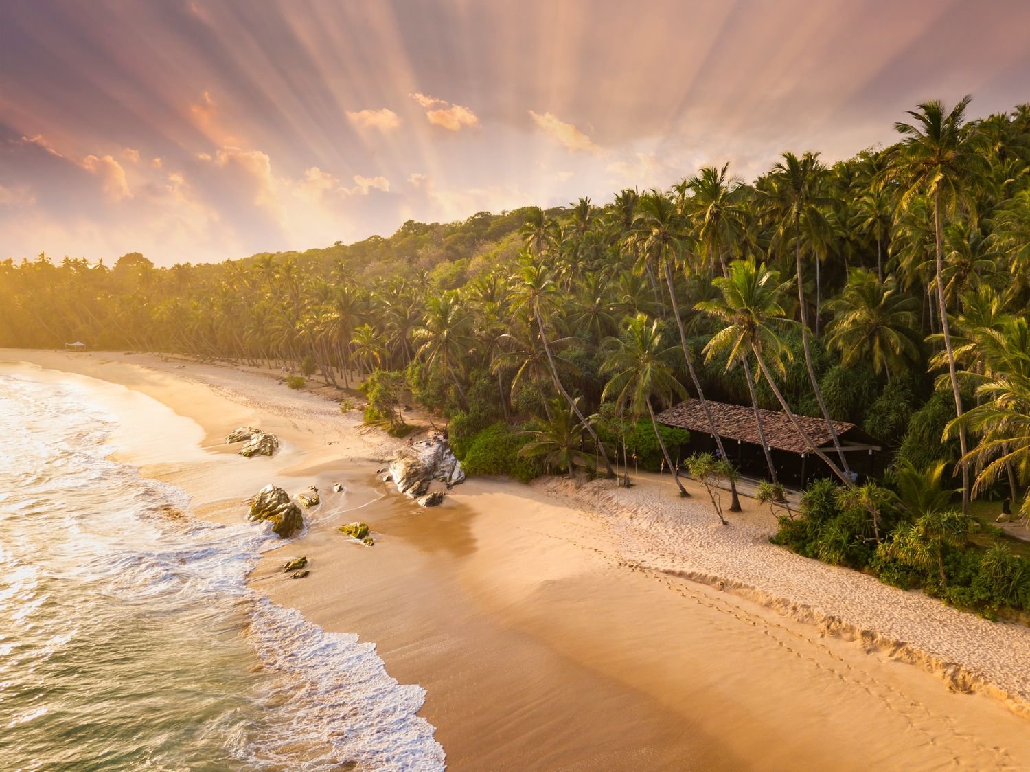 romantic sunset on a tropical beach with palm tree rz6tye9.jpg